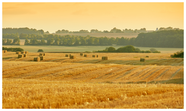 Dialogue agriculteurs–riverains : les résultats de l’enquête disponibles