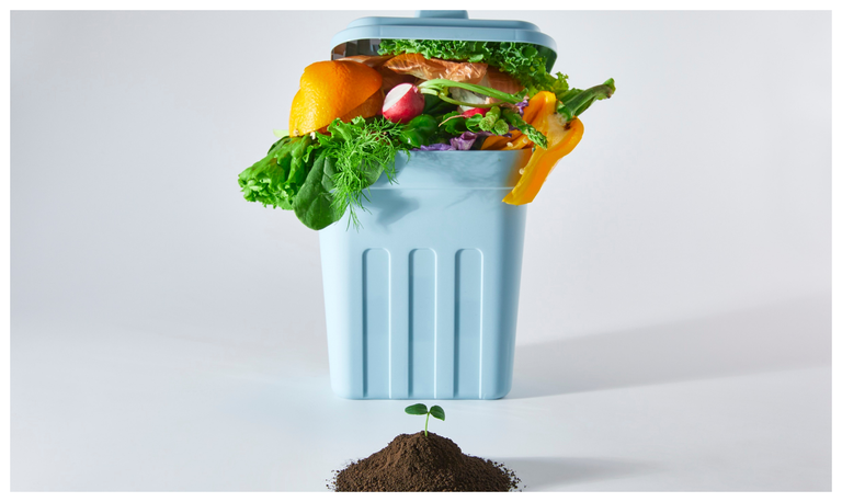 Action compost IPALLE : du matériel à prix réduit