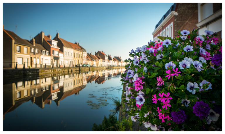 Visite des hortillonnages de Saint-Omer