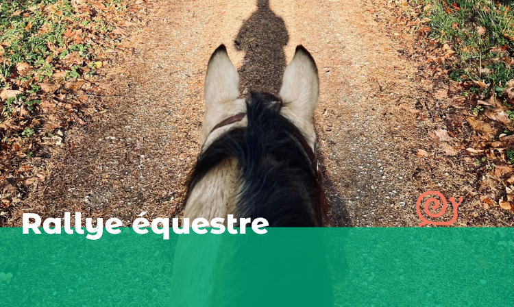 Balade équestre