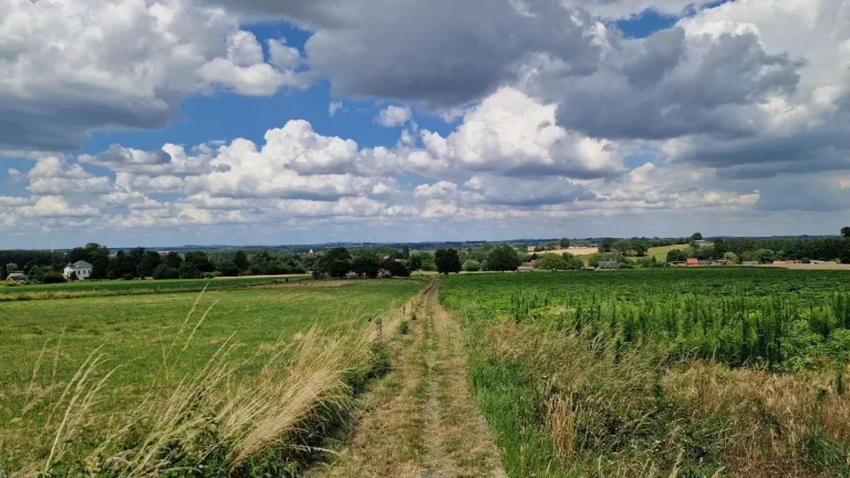 Chemin de terre entre des champs, sous un ciel nuageux