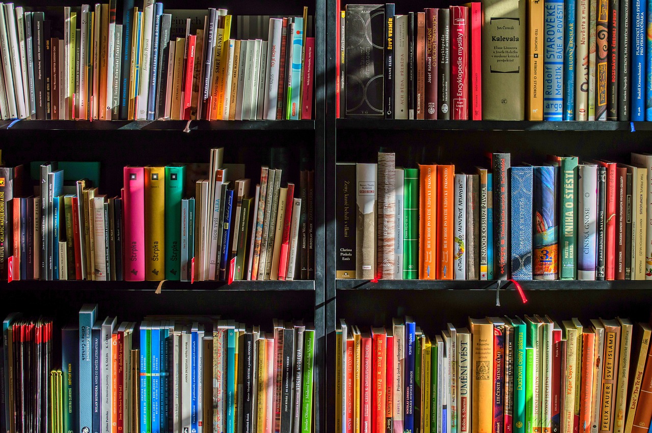 Rayonnages garnis de livres aux couleurs variées dans une bibliothèque