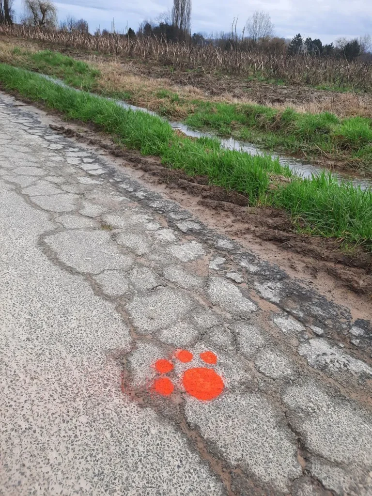 Patte rouge peinte sur un chemin bétonné, balisage du Circuit Toutous