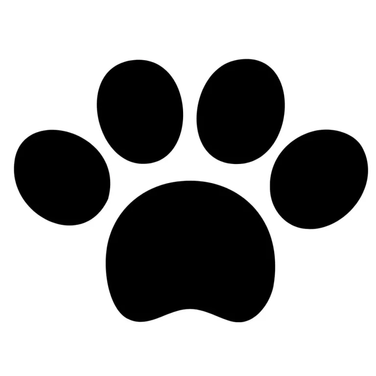 Pictogramme d'une patte de chien noire