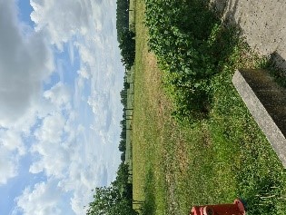 Classe du dehors en maternelles -- exploration de la prairie