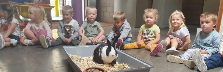 Les animaux de l'école : cochons d'Inde et lapins