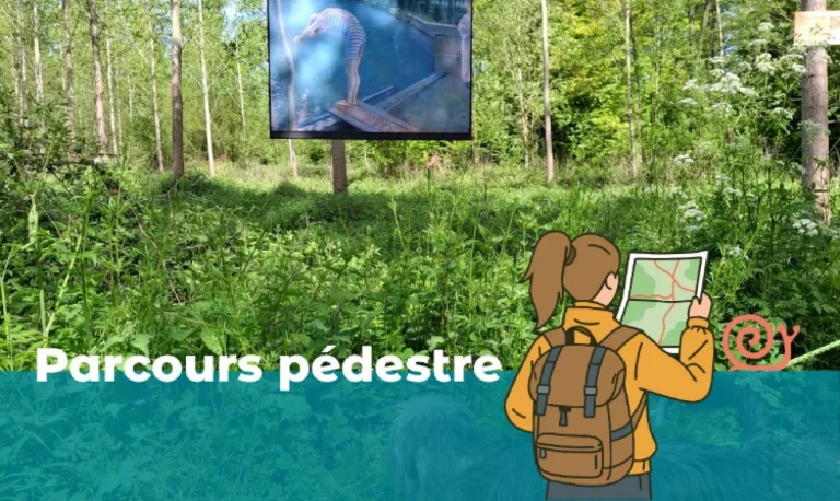 Visuel « Parcours pédestre » : une reproduction de tableau exposée dans une clairière du bois et le dessin d'une randonneuse qui lit une carte
