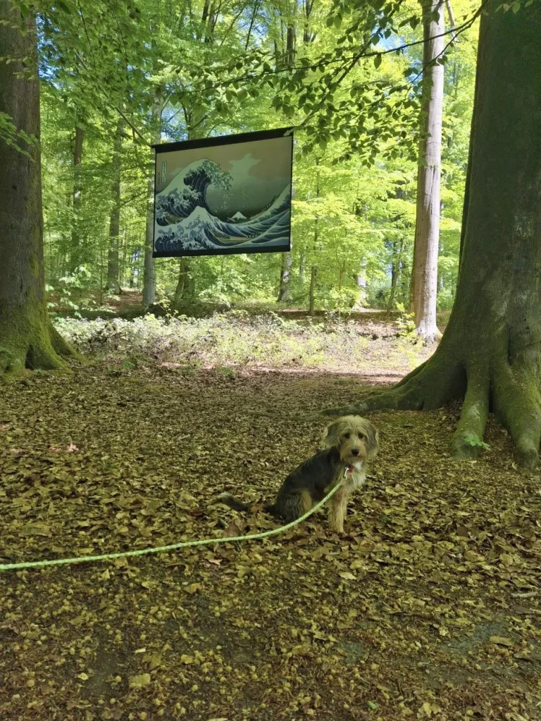 Petit chien assis face à l'objectif sur les feuilles mortes, devant La Grande Vague de Kanagawa exposée dans le bois