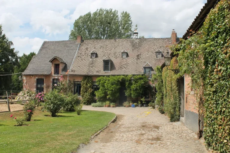 Cour pavée d'une ferme ancienne en briques aux murs couverts de lierre