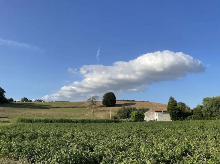 Champ cultivé et ferme blanche au pied d'une colline, sous un ciel bleu