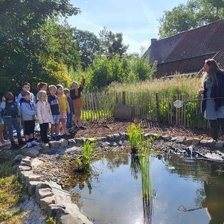 Observation de la biodiversité à la mare pédagogique