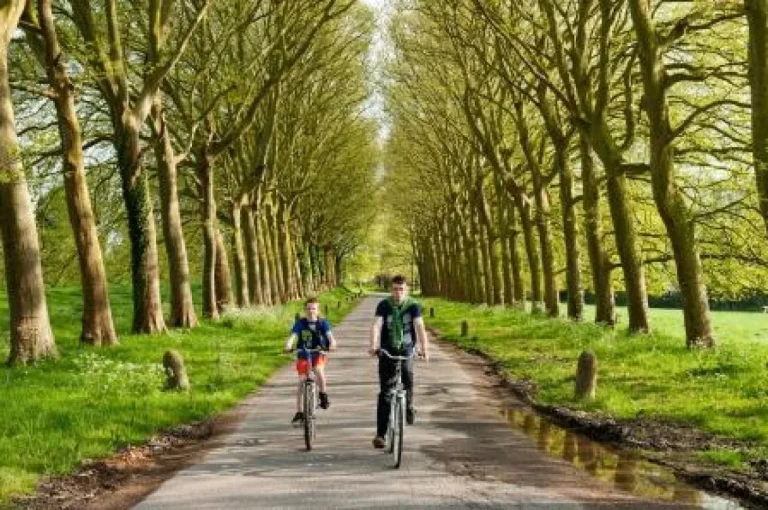 Deux cyclistes sur une route bordée d'un double alignement d'arbres