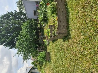 Le potager pédagogique de l'école