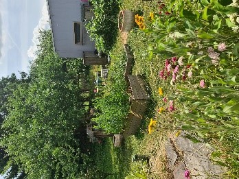 Activités au potager avec les élèves