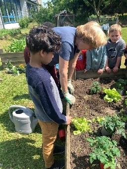 Récolte au potager de Bassilly
