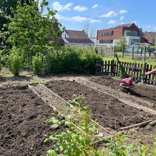Le potager de l'école d'Hellebecq