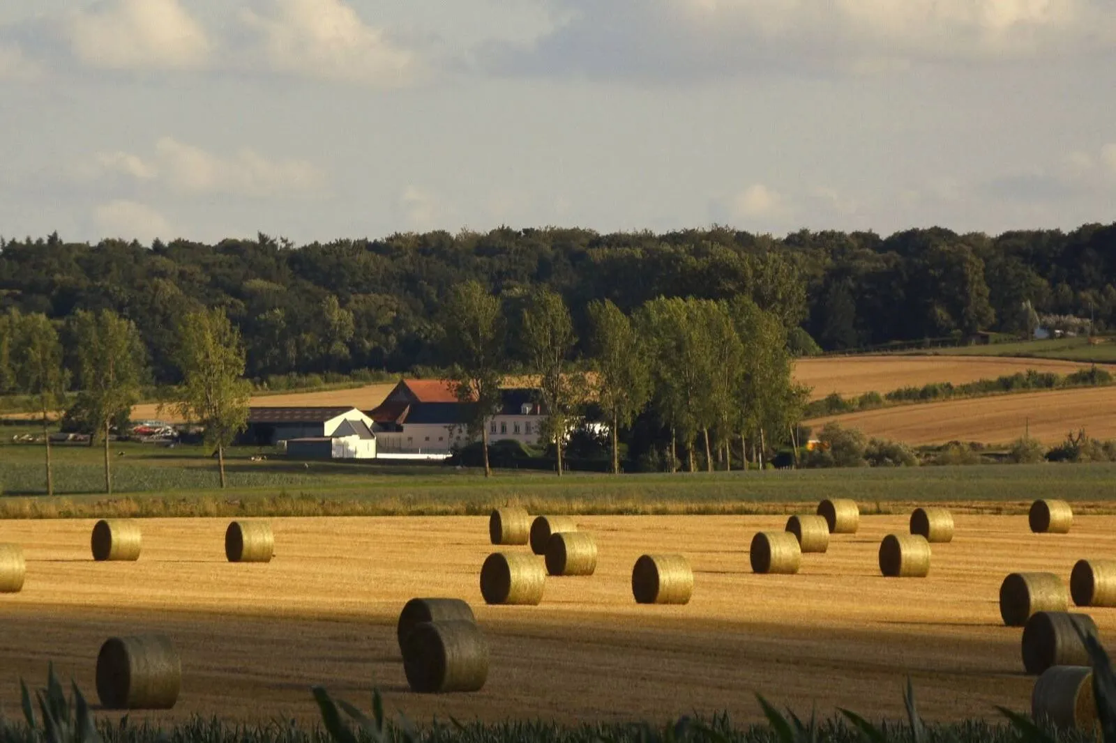 Champ moissonné parsemé de ballots de paille devant une ferme et un rideau d'arbres, dans la campagne de Silly