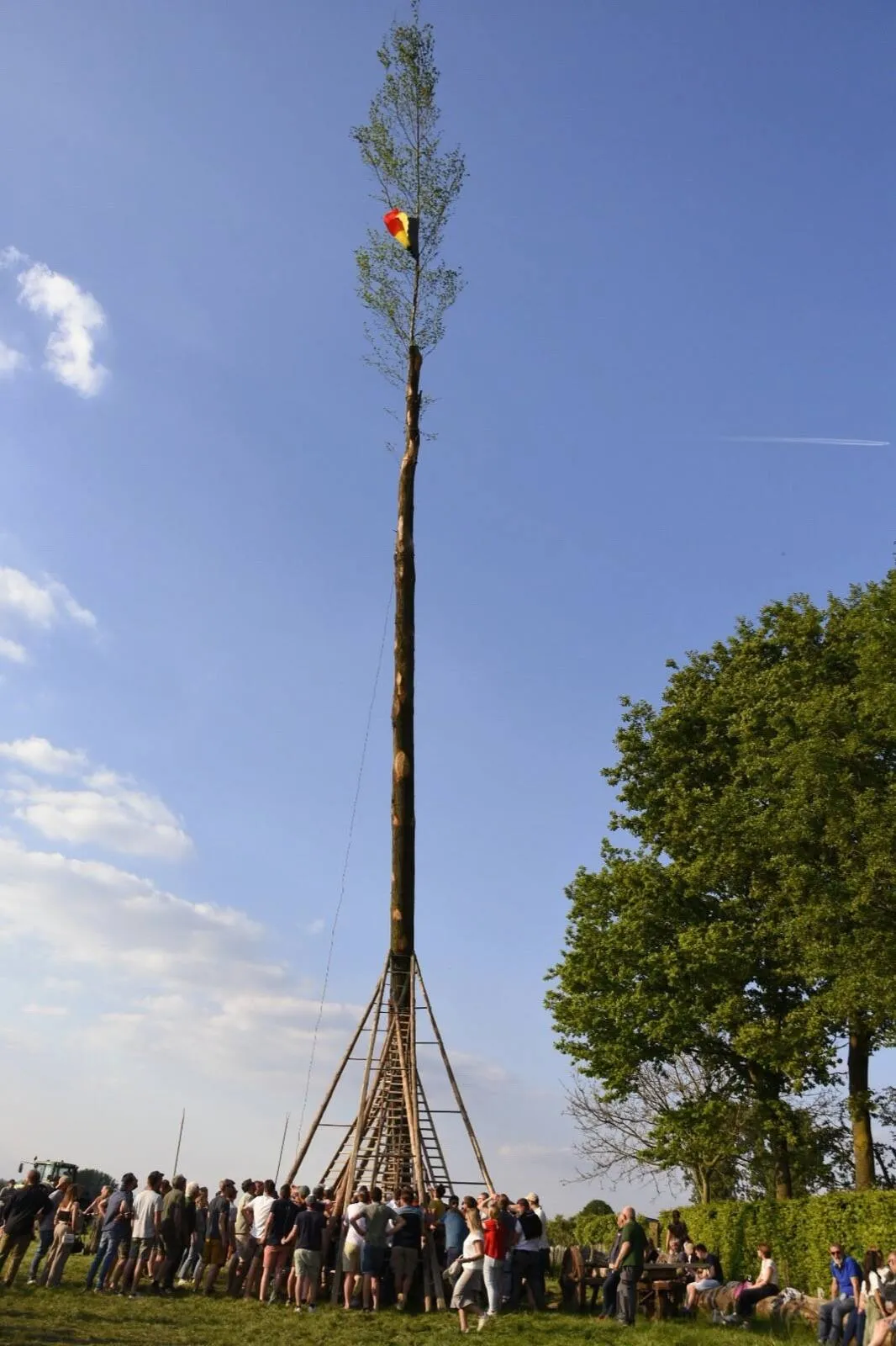 Habitants rassemblés autour du mât du Mai fraîchement dressé, coiffé d'un bouquet d'arbre et du drapeau belge