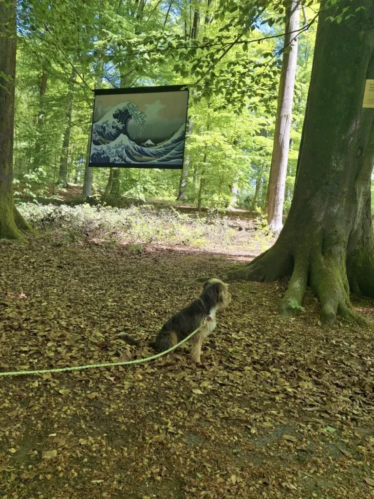 Petit chien en laisse assis dans le sous-bois, sous une reproduction de La Grande Vague de Kanagawa