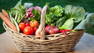 Panier de légumes frais du potager, illustrant le projet culinaire Silly Cooking