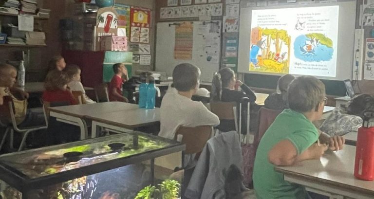 TBI dans les classes pour la différenciation pédagogique